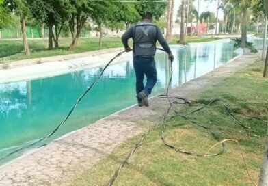 #Torreón. Realizan mantenimiento permanente en el lago del Bosque Urbano