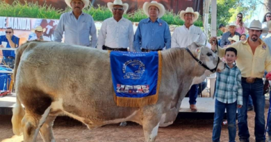 #Coahuila. CONVOCAN A LOS GANADEROS DE TODO COAHUILA PARA CONCURSO DE BECERRO GORDO