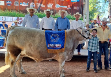 #Coahuila. CONVOCAN A LOS GANADEROS DE TODO COAHUILA PARA CONCURSO DE BECERRO GORDO