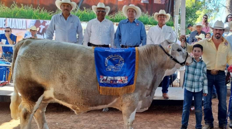 #Coahuila. CONVOCAN A LOS GANADEROS DE TODO COAHUILA PARA CONCURSO DE BECERRO GORDO