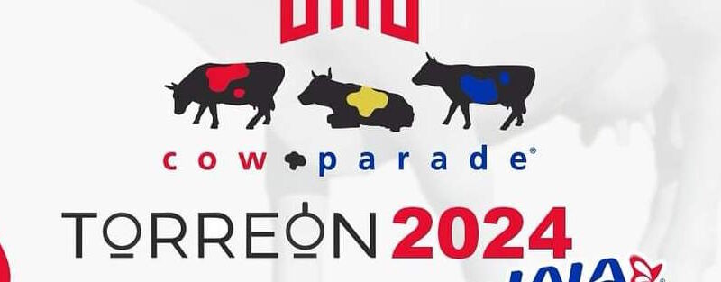 #Torreón. Regresa exposición del Cow Parade al Paseo Colón