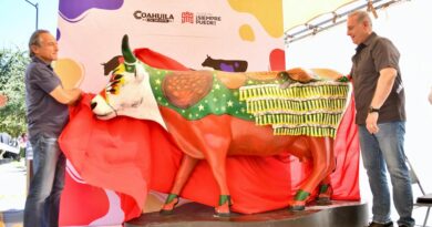 #torreón. Román Alberto Cepeda González inaugura el CowParade México2024en el Paseo Colón