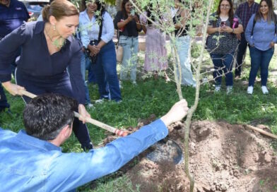 #Torreón. Capacitan a 20 instituciones del programa “Mi querida escuela”