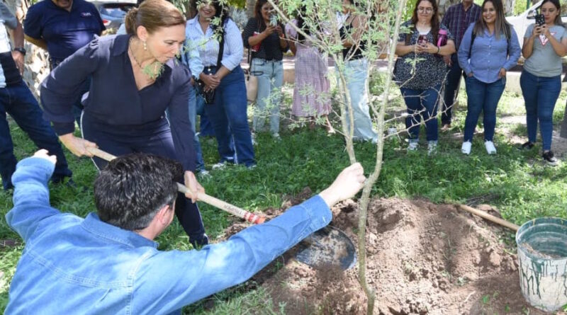 #Torreón. Capacitan a 20 instituciones del programa “Mi querida escuela”