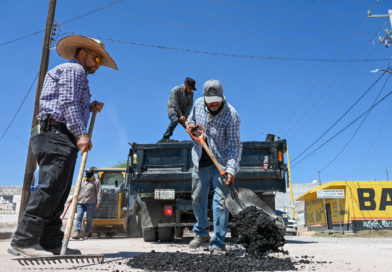 #Lerdo. SE INTENSIFICAN TRABAJOS DE BACHEO EN LERDO*