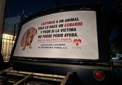 #GP. Con apoyo de la Asociación Lagunera de Defensoría Animal A.C. (ALDDEA), realizan en Gómez Palacio campaña contra el maltrato animal