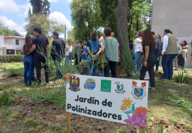 #Coahuila. EXHORTA LA SECRETARÍA DE MEDIO AMBIENTE A RESPETAR EL PASO DE LA MONARCA POR COAHUILA