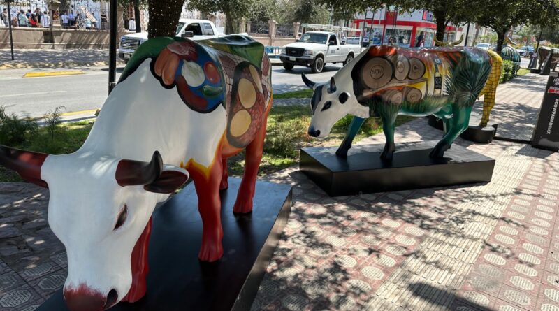 #Torreón. Develan vacas “Sotol de Jimulco” y “Después de la labor”dentro del Cow Parade 2024