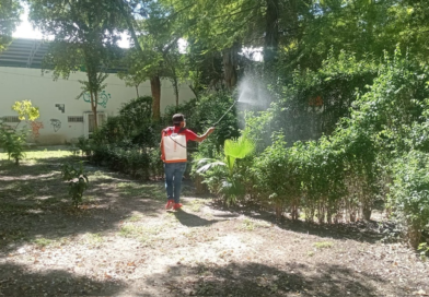 #Lerdo. REALIZAN FUMIGACIÓN CONTRA EL DENGUE EN EL PARQUE VICTORIA