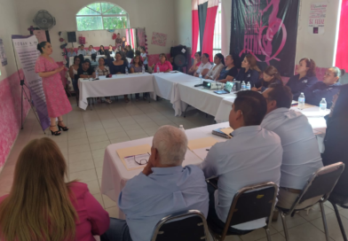 #Lerdo. INSTITUTO DE LA MUJER PRESENTA PLAN DE ACCIÓN COMUNITARIA EN LERDO*