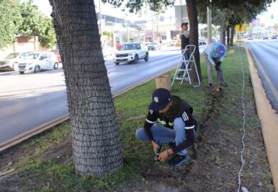 #Torreón. Instalarán 26 mil metros de luces navideñas en las principales vialidades de Torreón