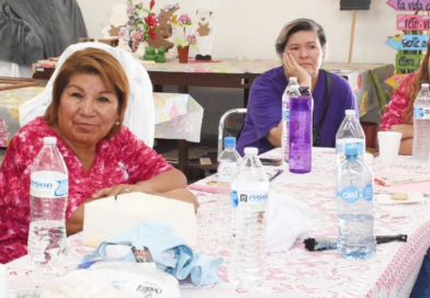 #GP. Ofrece DIF Gómez Palacio diversos talleres a mujeres gomezpalatinas par a impulsar su economía