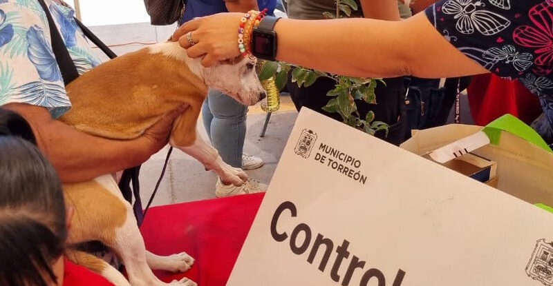 #Torreón. Salud Municipal efectuó más de 90 mil acciones en favor de los animales