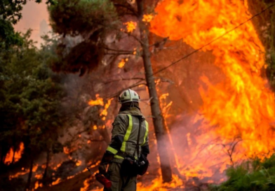 #Coahuila. 2024: EL AÑO CON MÁS INCENDIOS FORESTALES EN MÉXICO.