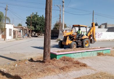 #GP. Realizan trabajos de limpieza en el camellón del bulevar Conquistadores