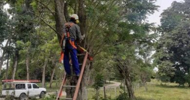 #GP. Enero y febrero, meses de poda libre en Gómez Palacio