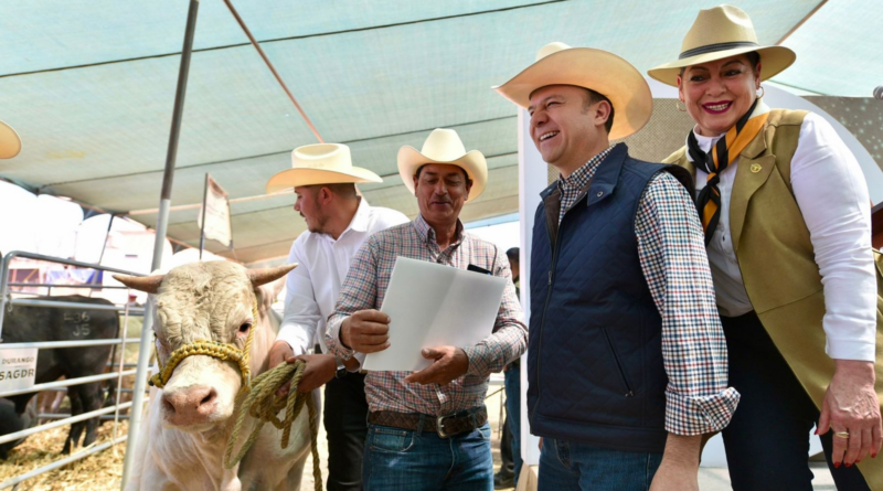 #Durango. Continuar con exportación de ganado, prioridad del Gobierno del Estado; autoridades y productores se preparan para revisiones de animales*