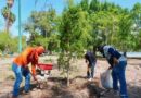 #Torreón. Avanzan mejoras en el Bosque Venustiano Carranza con reforestación y nuevos juegos infantiles