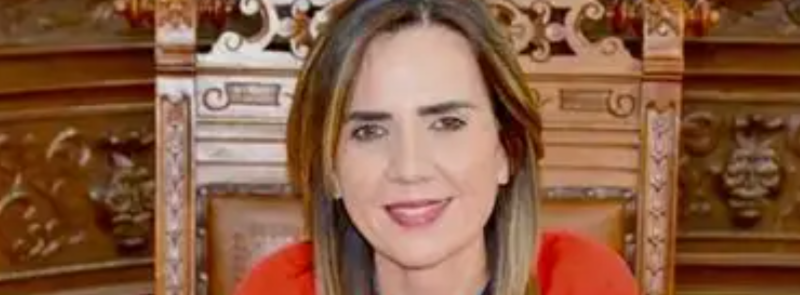 #CongresoCoahuila. Lupita Oyervides pide dejar el proceso electoral atrás.