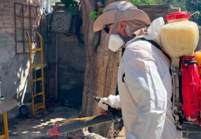 #Torreón. Salud Pública Municipal intensifica acciones de fumigación en colonias y escuelas de Torreón