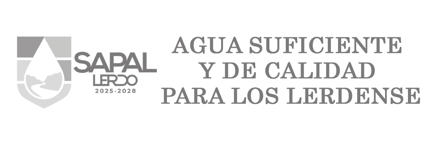 BANNER SAPAL JUN