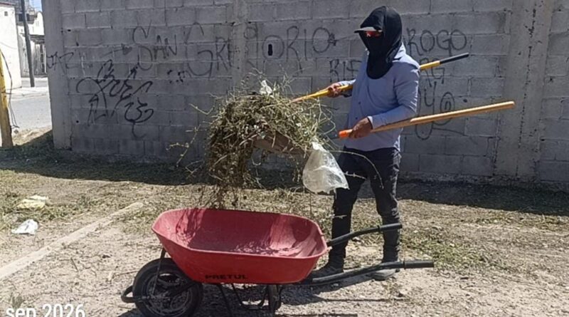 #Lerdo. REFUERZAN TRABAJOS DE LIMPIEZA Y PODA EN PLAZAS PÚBLICAS DE LERDO