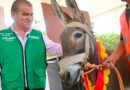 #TORREÓN AVANZA EN LA SUSTITUCIÓN DE CARROS DE TRACCIÓN ANIMAL