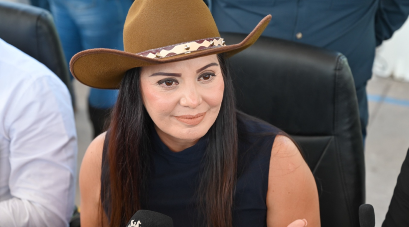 #Lerdo. ANUNCIA SUSY TORRECILLAS ACTIVIDADES POR EL 132 ANIVERSARIO DE LERDO*