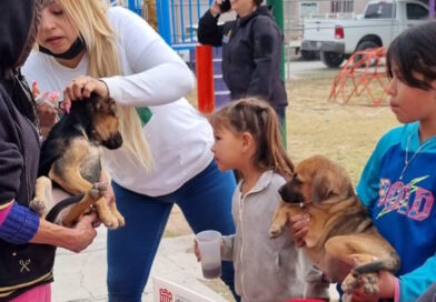 #Torreón. Fortalecen el cuidado animal en brigadas de salud