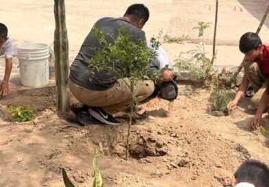 #Torreón. Medio Ambiente refuerza proyecto de jardines polinizadores en escuelas