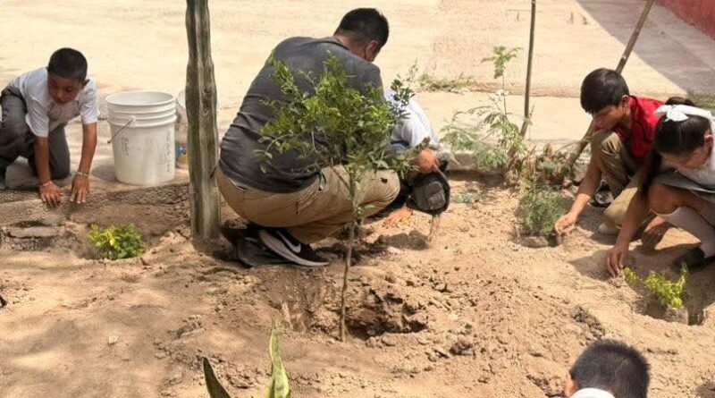 #Torreón. Medio Ambiente refuerza proyecto de jardines polinizadores en escuelas