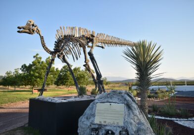 #Coahuila. ESTE VERANO COAHUILA TE SORPRENDE CON SUS 8 PUEBLOS MÁGICOS