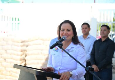 #Lerdo. SUSY TORRECILLAS BENEFICIA A FAMILIAS CON ENTREGA DE MATERIAL DE CONSTRUCCIÓN*