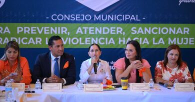 #Lerdo. SUSY TORRECILLAS ENCABEZA SESIÓN DEL CONSEJO MUNICIPAL PARA ERRADICAR LA VIOLENCIA CONTRA LAS MUJERES*