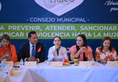 #Lerdo. SUSY TORRECILLAS ENCABEZA SESIÓN DEL CONSEJO MUNICIPAL PARA ERRADICAR LA VIOLENCIA CONTRA LAS MUJERES*
