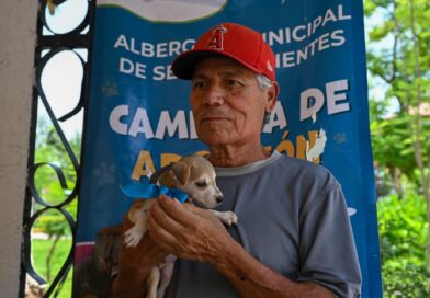 #Lerdo. MÁS DE 2 MIL ACCIONES EN FAVOR DE LOS ANIMALES DURANTE EL PRIMER SEMESTRE DEL AÑO*