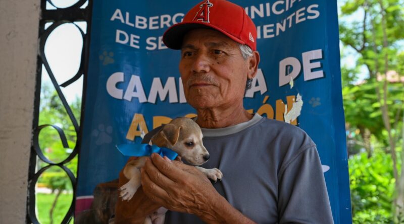 #Lerdo. MÁS DE 2 MIL ACCIONES EN FAVOR DE LOS ANIMALES DURANTE EL PRIMER SEMESTRE DEL AÑO*