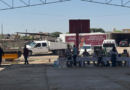 #GP. Gómez Palacio avanza en atención de perros en situación de calle