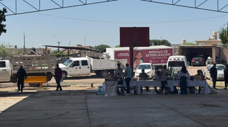 #GP. Gómez Palacio avanza en atención de perros en situación de calle