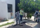 #Lerdo. INSTRUYE SUSY TORRECILLAS PLAN EMERGENTE DE BACHEO EN VIALIDADES AFECTADAS POR LLUVIAS*