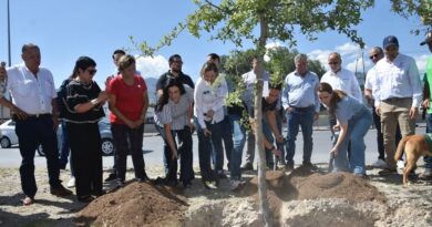 #Coahuila. PLANTAN MÁS DE 100 MIL ÁRBOLES EN LOS 38 MUNICIPIOS CON LA CAMPAÑA «VERDE VERDE COAHUILA”