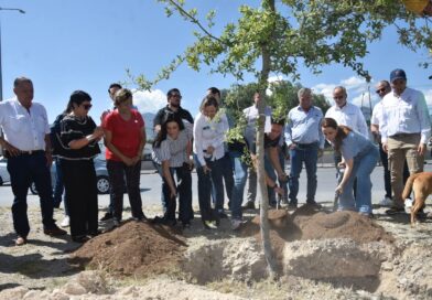 #Coahuila. PLANTAN MÁS DE 100 MIL ÁRBOLES EN LOS 38 MUNICIPIOS CON LA CAMPAÑA «VERDE VERDE COAHUILA”