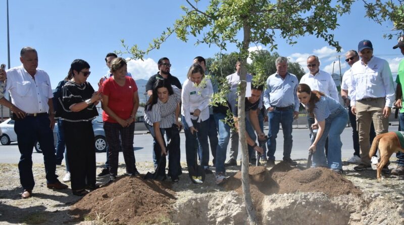 #Coahuila. PLANTAN MÁS DE 100 MIL ÁRBOLES EN LOS 38 MUNICIPIOS CON LA CAMPAÑA «VERDE VERDE COAHUILA”