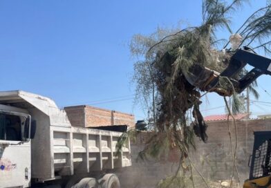#Lerdo. IMPULSA SUSY TORRECILLAS LIMPIEZA Y MEJORAMIENTO DE VIALIDADES EN LA COLONIA LUCIO CABAÑAS