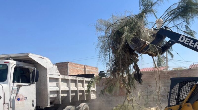 #Lerdo. IMPULSA SUSY TORRECILLAS LIMPIEZA Y MEJORAMIENTO DE VIALIDADES EN LA COLONIA LUCIO CABAÑAS