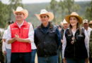 #Durango, referente forestal del país, se suma a la Jornada Nacional de Reforestación de la Presidenta Claudia con la plantación de 6 mil pinos