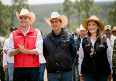 #Durango, referente forestal del país, se suma a la Jornada Nacional de Reforestación de la Presidenta Claudia con la plantación de 6 mil pinos