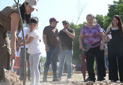#GP. Betzabé Martínez encabeza jornada de reforestación en el Parque 5 de Mayo*