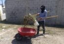 #Lerdo. REFUERZAN TRABAJOS DE LIMPIEZA Y PODA EN PLAZAS PÚBLICAS DE LERDO
