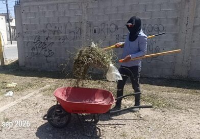 #Lerdo. REFUERZAN TRABAJOS DE LIMPIEZA Y PODA EN PLAZAS PÚBLICAS DE LERDO